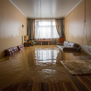 Detroit Water Damage Restoration